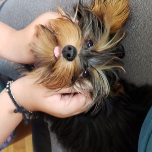 Meet your Posher, Melissa